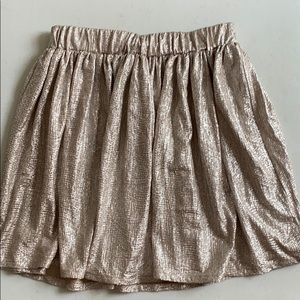 Sliver/Gold Skater Skirt